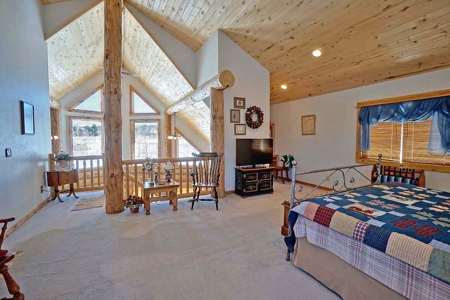 Ridgway Colorado Mountain Log Home for Sale - image 30