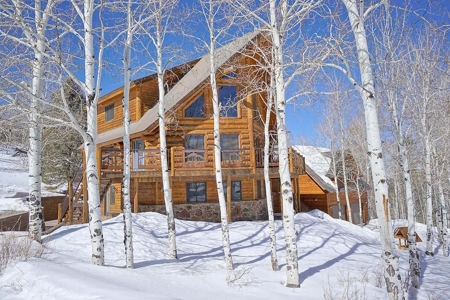Ridgway Colorado Mountain Log Home for Sale - image 1