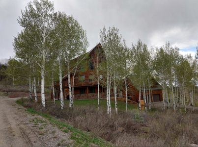 Ridgway Colorado Mountain Log Home for Sale - image 15