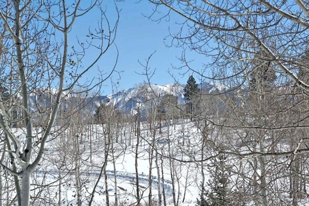 Ridgway Colorado Mountain Log Home for Sale - image 16