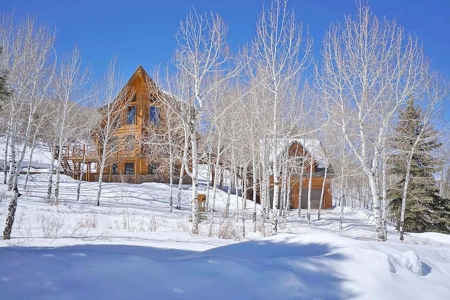 Ridgway Colorado Mountain Log Home for Sale - image 14