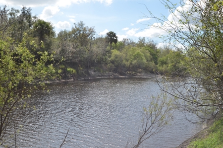 177 +/- Acres with waterfront on Peace River in Arcadia, FL! - image 30