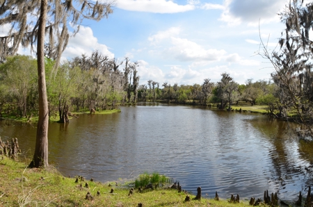 177 +/- Acres with waterfront on Peace River in Arcadia, FL! - image 45