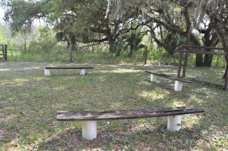 177 +/- Acres with waterfront on Peace River in Arcadia, FL! - image 27