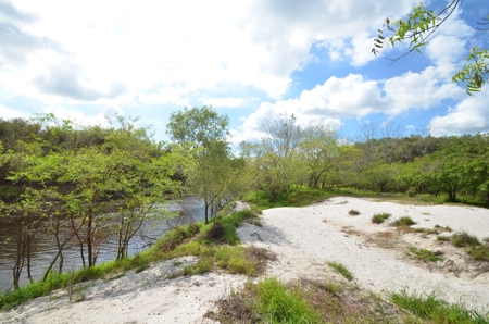 177 +/- Acres with waterfront on Peace River in Arcadia, FL! - image 33