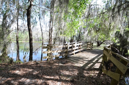 177 +/- Acres with waterfront on Peace River in Arcadia, FL! - image 44