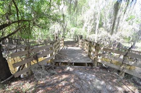 177 +/- Acres with waterfront on Peace River in Arcadia, FL! - image 42