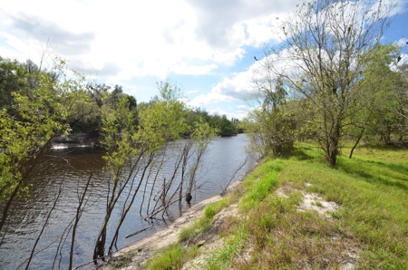 177 +/- Acres with waterfront on Peace River in Arcadia, FL! - image 28