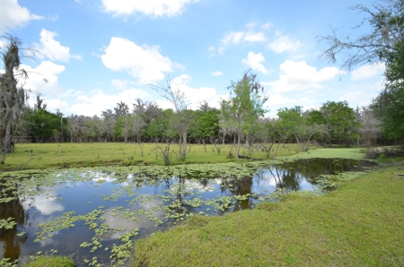 177 +/- Acres with waterfront on Peace River in Arcadia, FL! - image 38