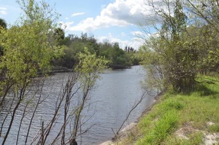177 +/- Acres with waterfront on Peace River in Arcadia, FL! - image 29