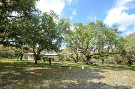 177 +/- Acres with waterfront on Peace River in Arcadia, FL! - image 35
