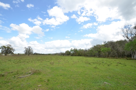 177 +/- Acres with waterfront on Peace River in Arcadia, FL! - image 4