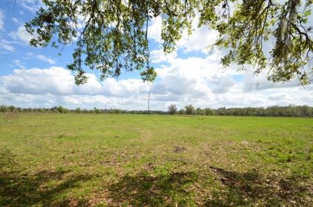 177 +/- Acres with waterfront on Peace River in Arcadia, FL! - image 3