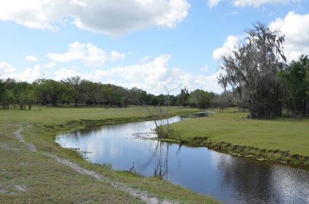 177 +/- Acres with waterfront on Peace River in Arcadia, FL! - image 37