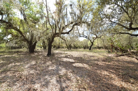 177 +/- Acres with waterfront on Peace River in Arcadia, FL! - image 39