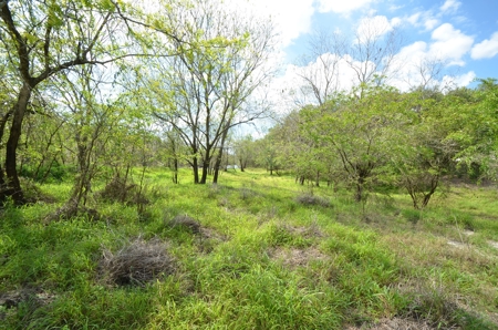 177 +/- Acres with waterfront on Peace River in Arcadia, FL! - image 34