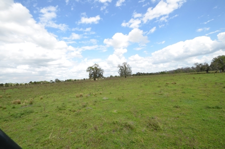 177 +/- Acres with waterfront on Peace River in Arcadia, FL! - image 6