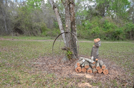 177 +/- Acres with waterfront on Peace River in Arcadia, FL! - image 9