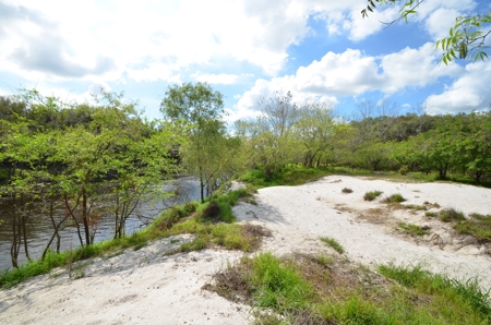 177 +/- Acres with waterfront on Peace River in Arcadia, FL! - image 32