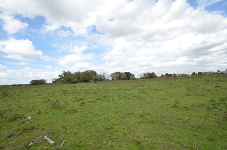 177 +/- Acres with waterfront on Peace River in Arcadia, FL! - image 5