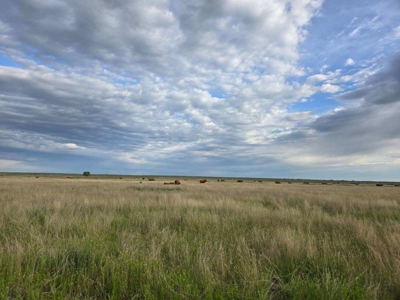 Flood Irrigated Hay Ground Saco Montana for Sale - image 37