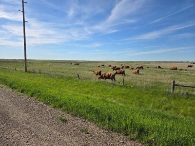 Flood Irrigated Hay Ground Saco Montana for Sale - image 25