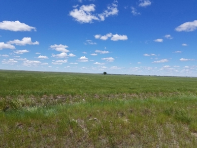 Flood Irrigated Hay Ground Saco Montana for Sale - image 16