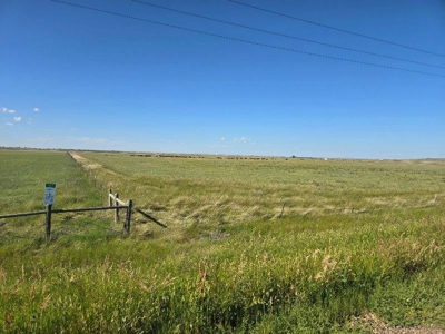 Flood Irrigated Hay Ground Saco Montana for Sale - image 36