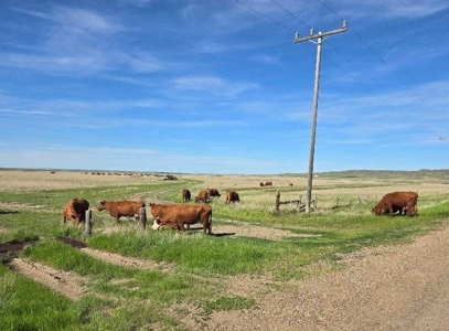 Flood Irrigated Hay Ground Saco Montana for Sale - image 27