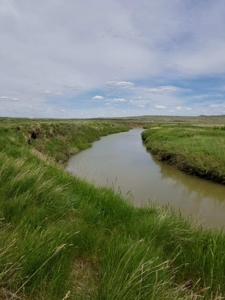 Flood Irrigated Hay Ground Saco Montana for Sale - image 9