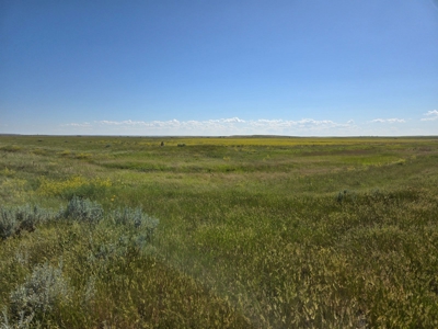 Flood Irrigated Hay Ground Saco Montana for Sale - image 18