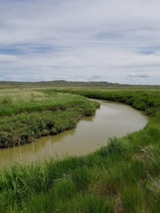 Flood Irrigated Hay Ground Saco Montana for Sale - image 11