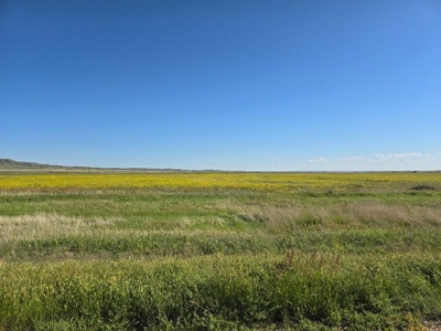 Flood Irrigated Hay Ground Saco Montana for Sale - image 28