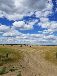 Flood Irrigated Hay Ground Saco Montana for Sale - image 7