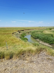 Flood Irrigated Hay Ground Saco Montana for Sale - image 3