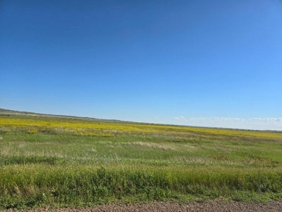 Flood Irrigated Hay Ground Saco Montana for Sale - image 24