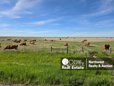 Flood Irrigated Hay Ground Saco Montana for Sale - image 40