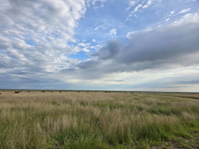 Flood Irrigated Hay Ground Saco Montana for Sale - image 39