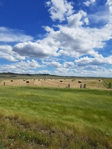 Flood Irrigated Hay Ground Saco Montana for Sale - image 6