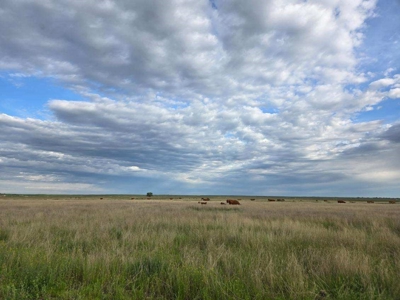 Flood Irrigated Hay Ground Saco Montana for Sale - image 34