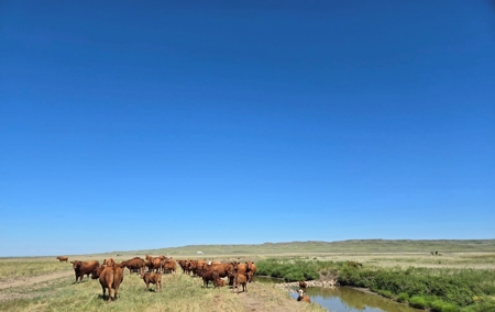 Flood Irrigated Hay Ground Saco Montana for Sale - image 13