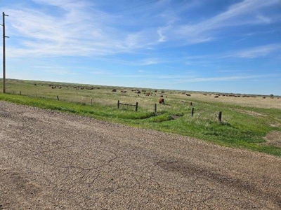 Flood Irrigated Hay Ground Saco Montana for Sale - image 29
