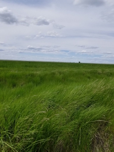 Flood Irrigated Hay Ground Saco Montana for Sale - image 14