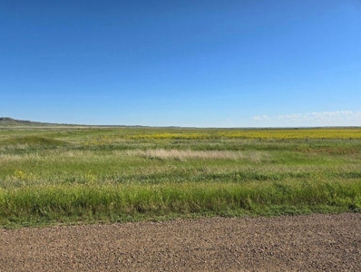 Flood Irrigated Hay Ground Saco Montana for Sale - image 38