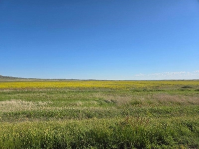 Flood Irrigated Hay Ground Saco Montana for Sale - image 30