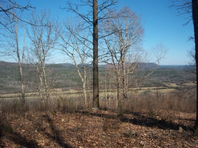 Mountain View Lots - image 2