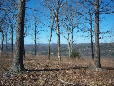 Mountain View Lots - image 7