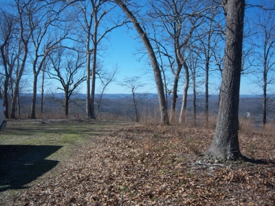 Mountain View Lots - image 6