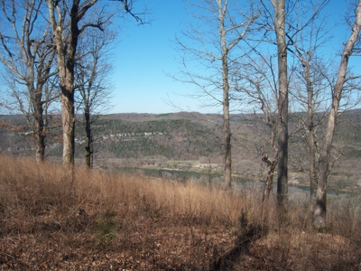 Mountain View Lots - image 5