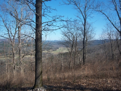 Mountain View Lots - image 3